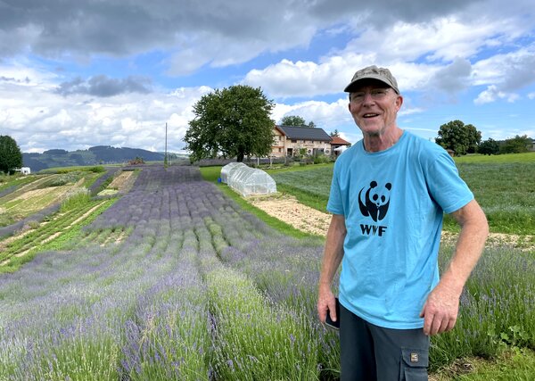 Ein WWF-Freiwilliger an einem Natureinsatz, nahe eines Lavendelfeldes in Stein AR.