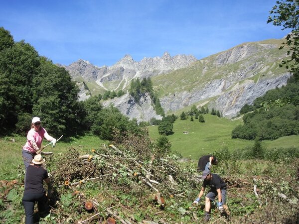 Eine anstrengende aber sinnvolle Arbeit (c) Katharina Fries