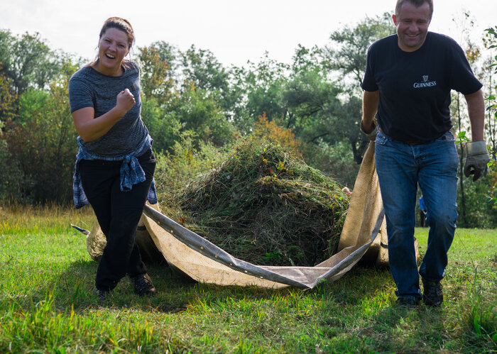 Zwei Personen tragen frisch geschnittenes Gras von einer Weide weg, anlässlich eines Natureinsatzes im Breitfeld. Sie nutzen dazu ein grosses Tuch. 