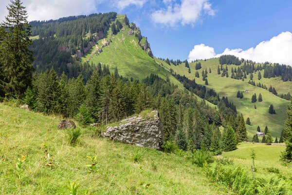 Sömmerungswiese in sattem Grün und mit hellblauem Himmel