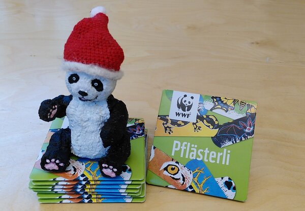 Pandabär mit Samichlausmütze und Pflästerli