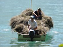 Wiesenmeisterschaft 14 © Peter Roth