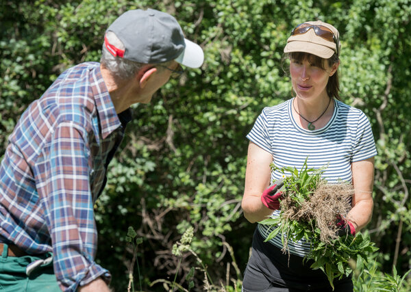 Zwei Neophyten-Kontrolleur:innen tauschen sich aus. 