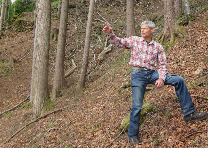 Peter Ettlinger steht vor einem Baum, in einem Wald.