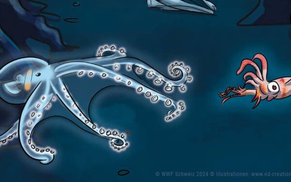 Eine Tiefseegrafik, mit einem Tintenfisch und einer Krabbe.