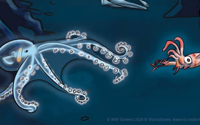 Eine Tiefseegrafik, mit einem Tintenfisch und einer Krabbe.