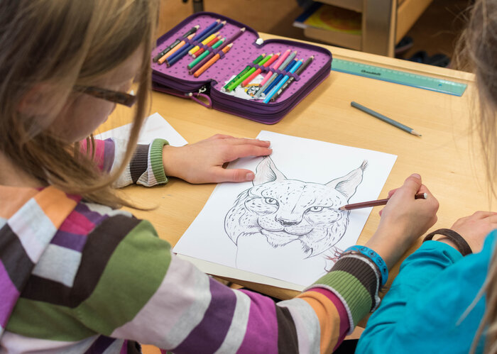 Zwei Kinder malen ein Luchsbild aus.