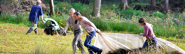 Freiwillige Helfer:innen pflegen die Weide