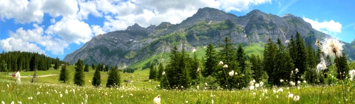 Moore, Schwägalp, wandern, Alpen