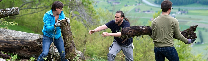 Fleissige freiwillige Helfer tragen Holzstämme über die Weide