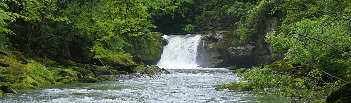 Durch das Blätterdach der Bäume, die dicht an der Thur stehen, erhascht man einen Blick auf den Horbenfall.