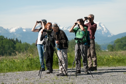 Fünf Personen stehen auf einem Kiesweg in den Bergen hinter Stativen und schauen durch die Linsen der Kamaras, bereit für die perfekte Aufnahme..