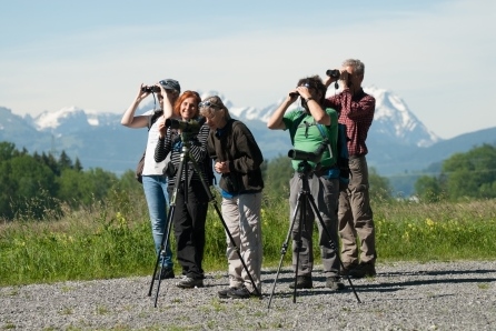 Anlässe wie die Vogel- oder Fledermausexkursionen regen zum Beobachten an.