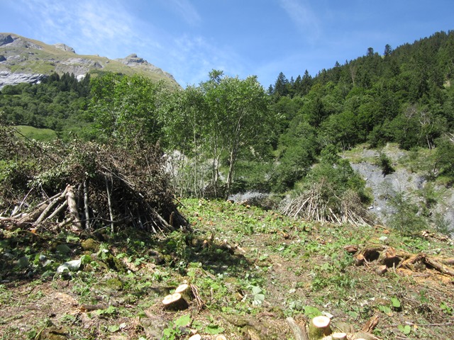Das Resultat lässt sich sehen (c) Katharina Fries, WWF