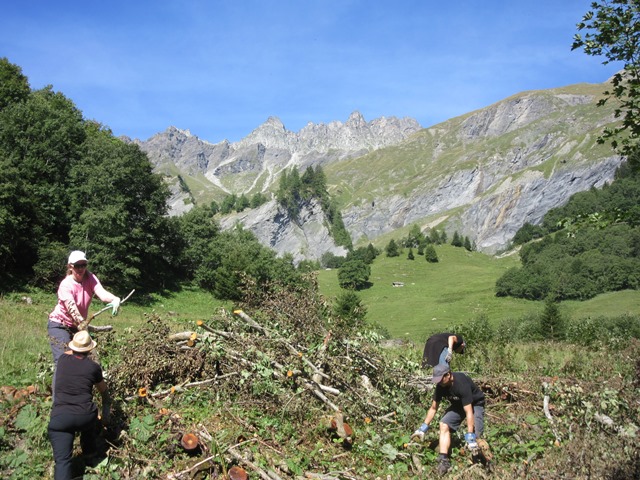 Eine anstrengende aber sinnvolle Arbeit (c) Katharina Fries